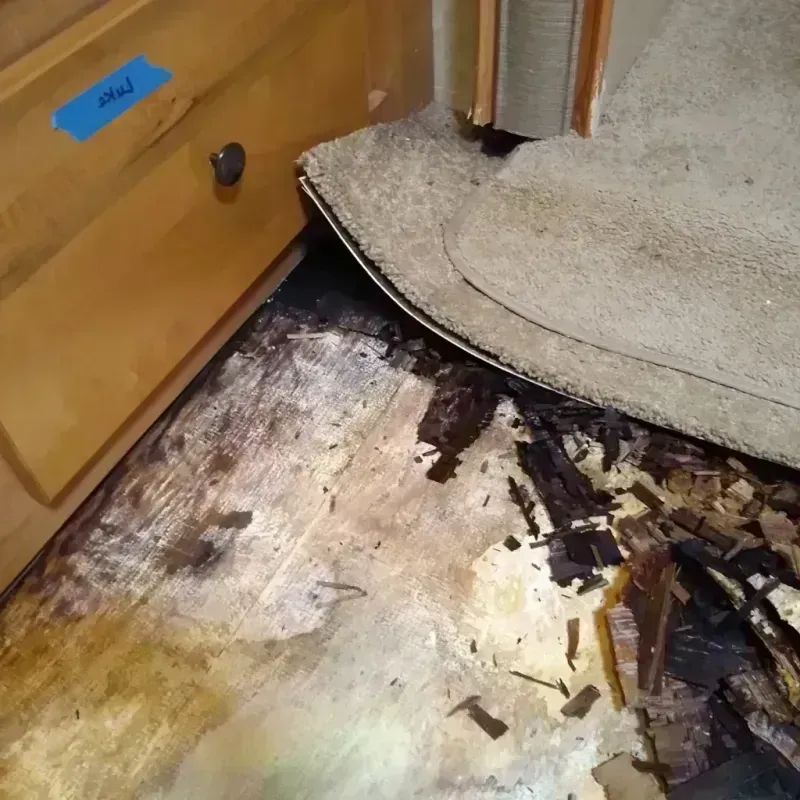 Best Wood Floor Water Damage Service in Belleville, MI